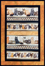 Cats and Kittens Wall Hanging Kit